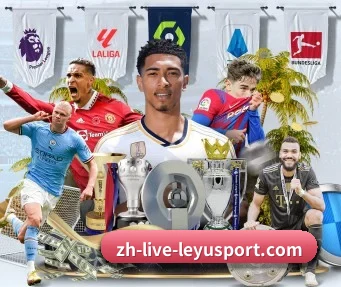 乐鱼体育 APP | leyu sports